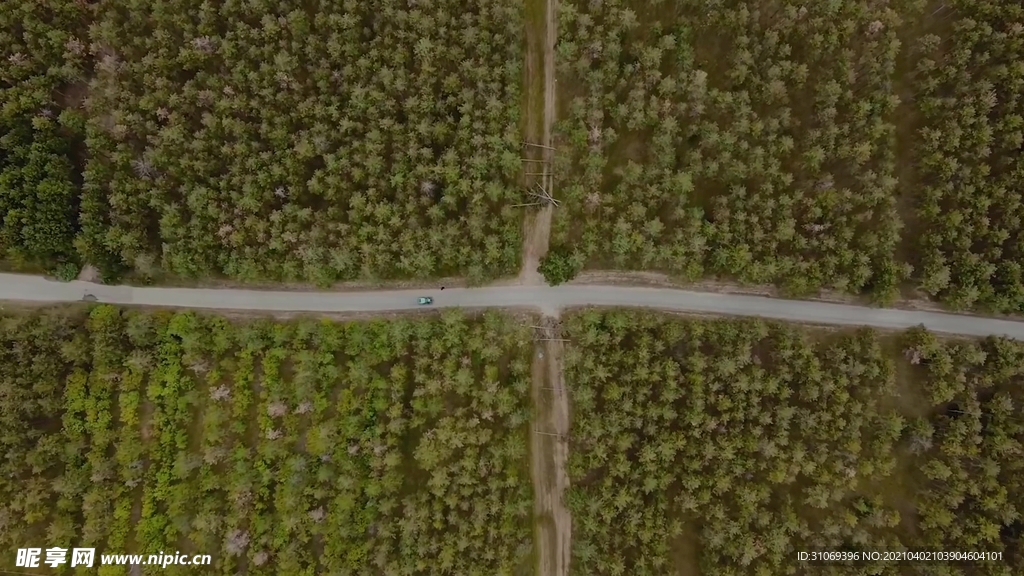 vlog视频素航拍汽车穿越树林