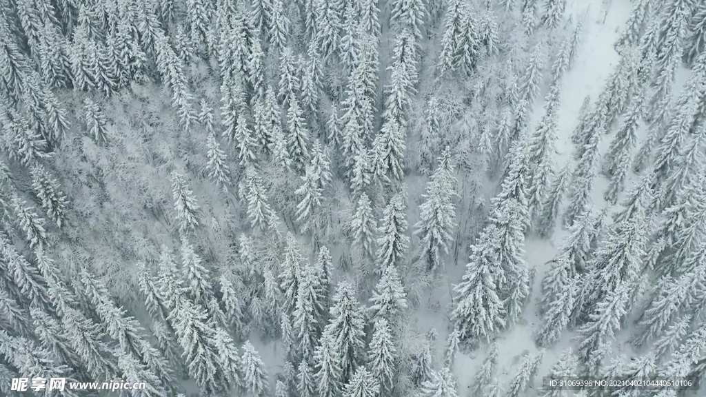 航拍高清4K视频冬季白雪森林