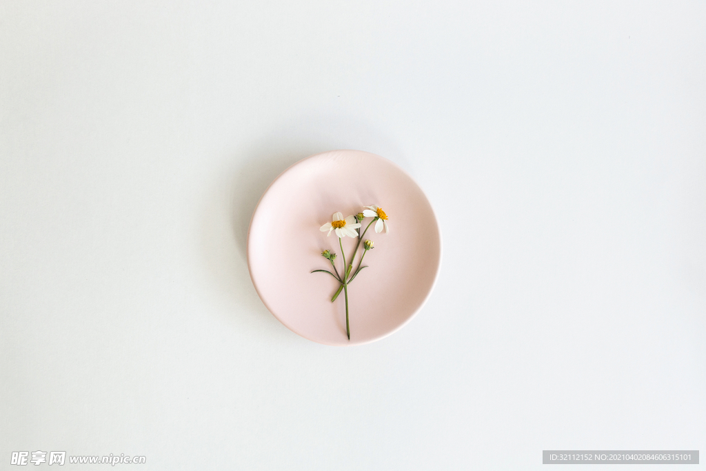 简约风格洋甘菊