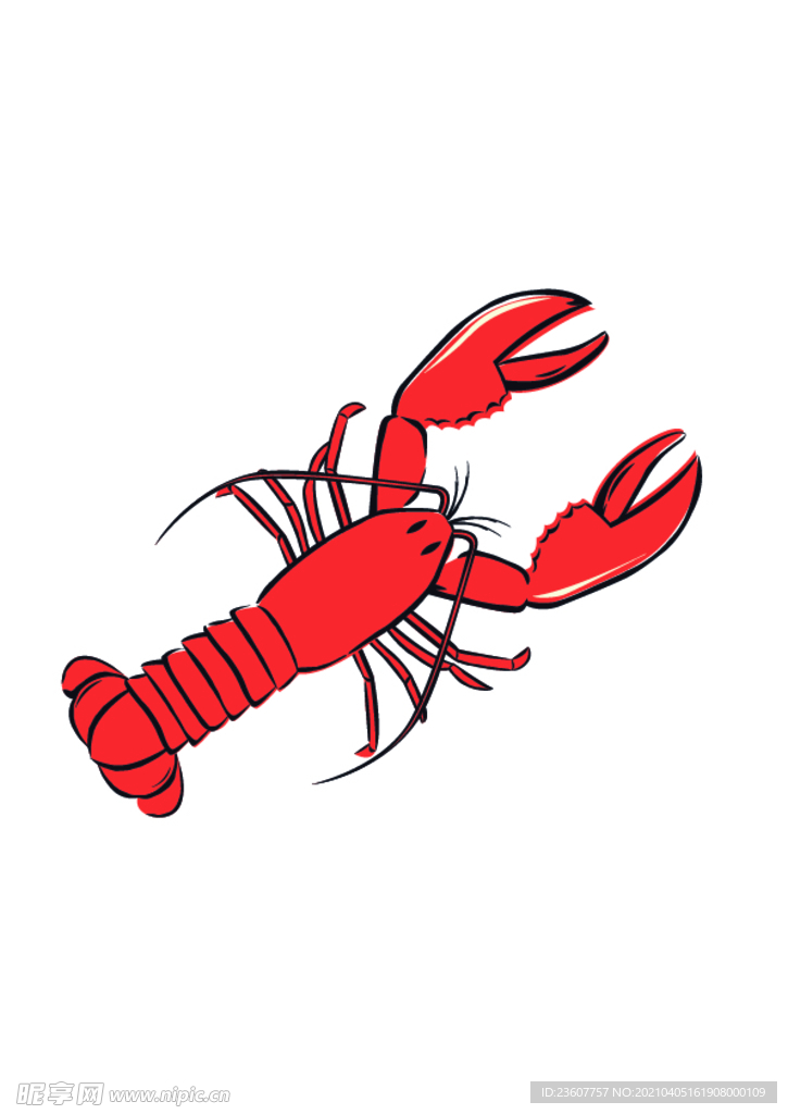 虾