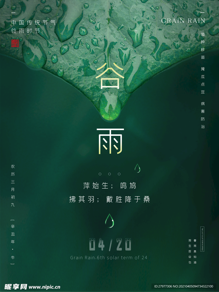 简约大气二十四节气谷雨海报