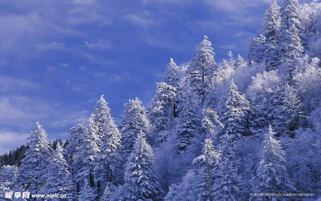 雪山景观