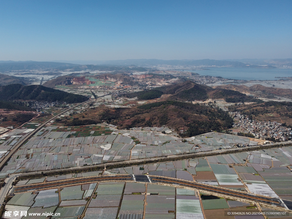 田野