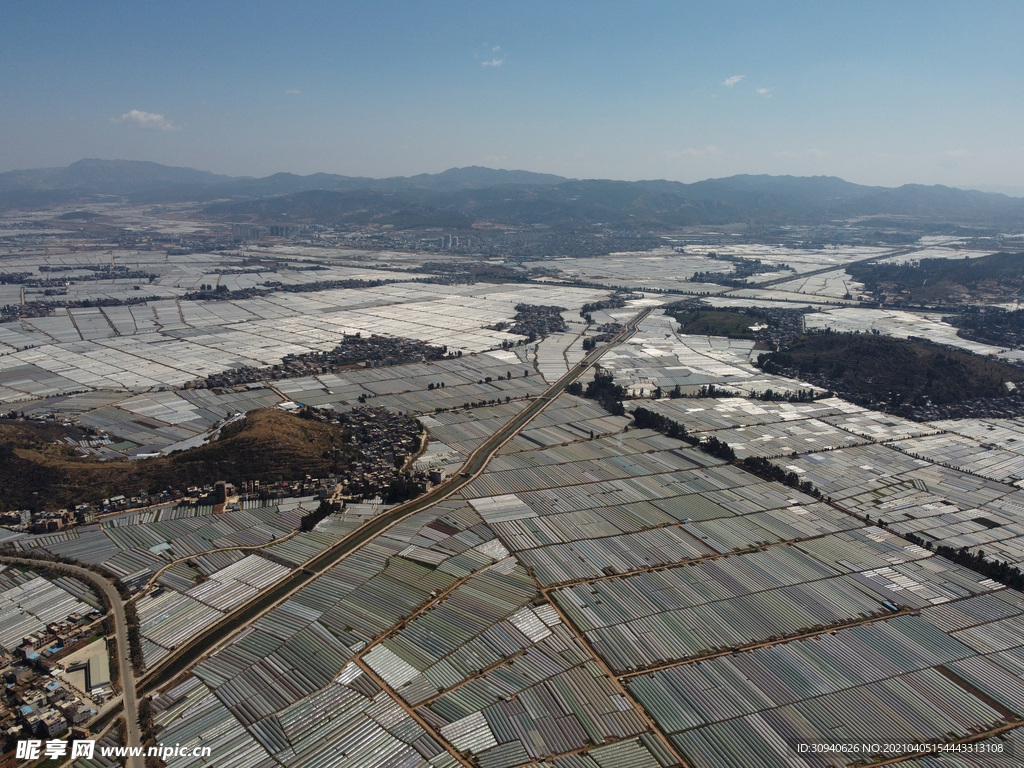 田野