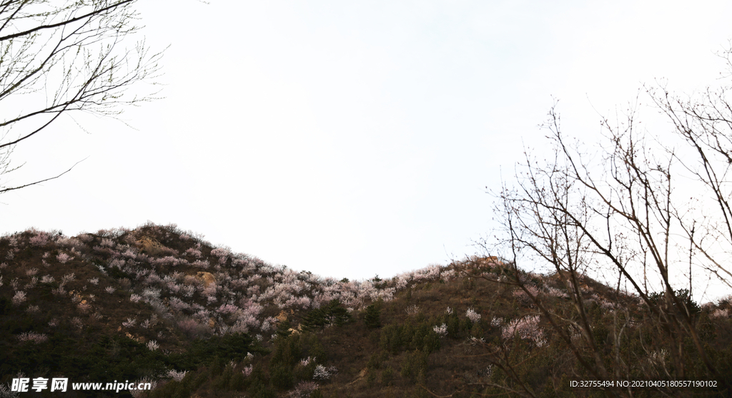 山峰