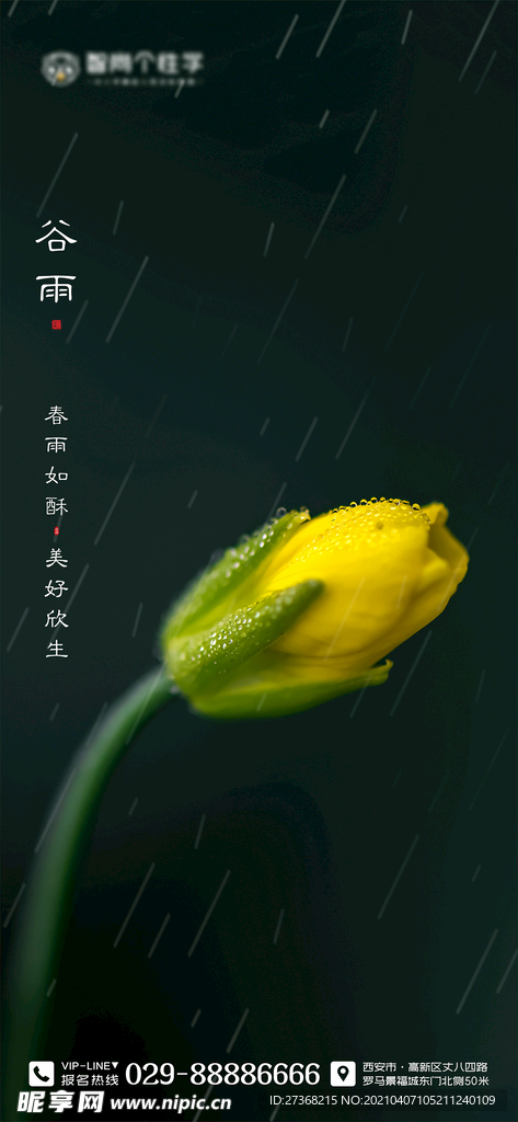 二十四节气海报 谷雨海报