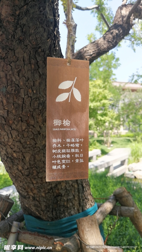 北京世贸西山龙胤
