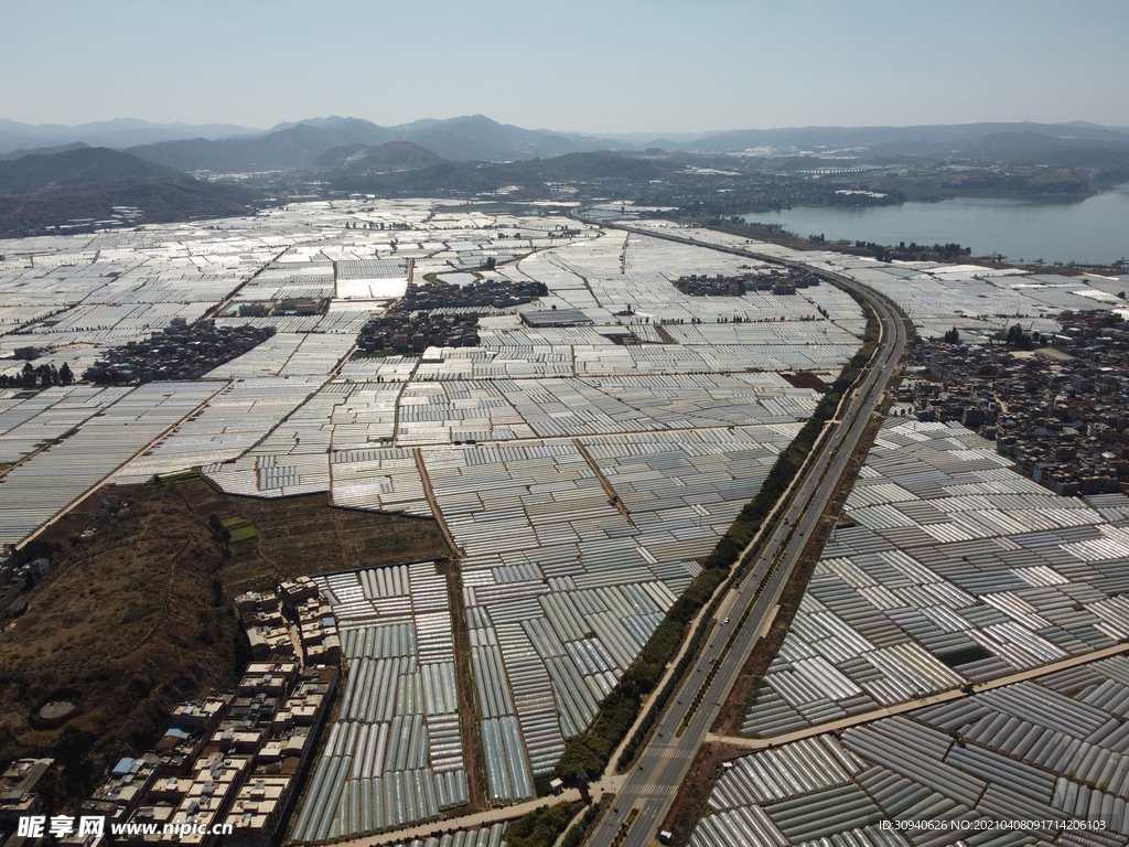 田野