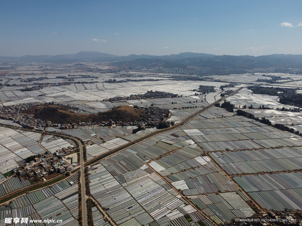 田野