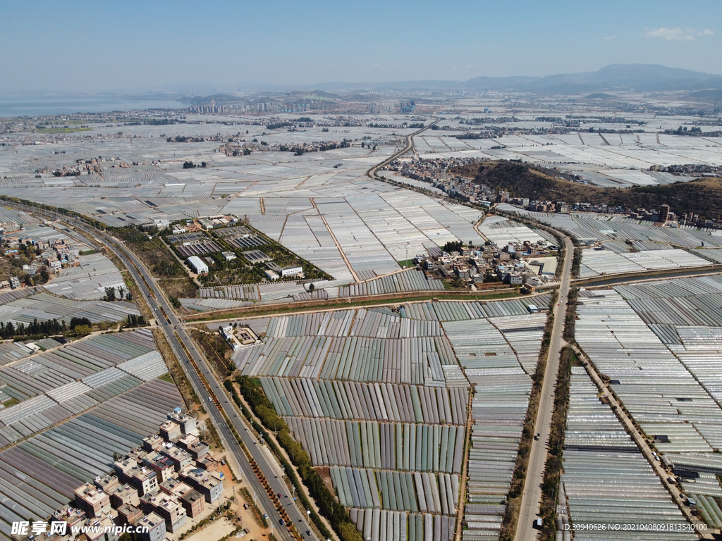 田野