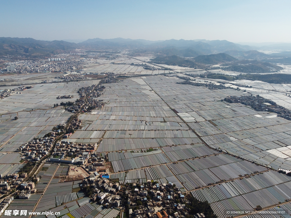 田野