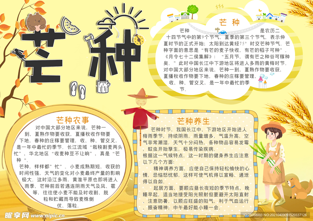 芒种手抄报