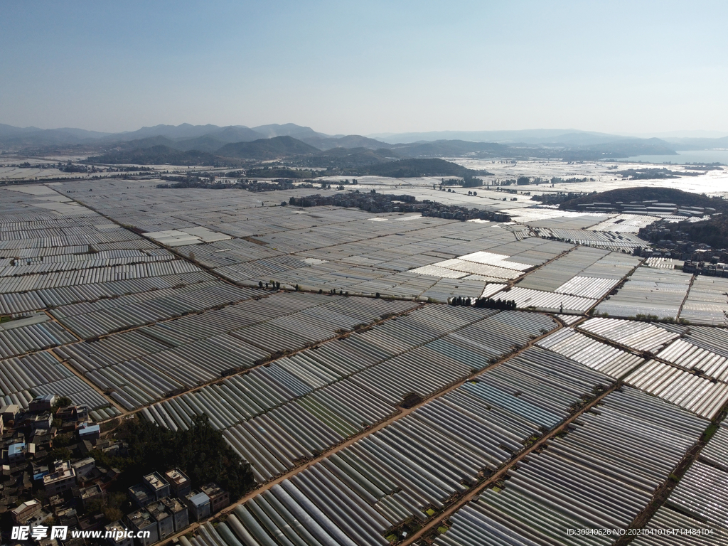 田野
