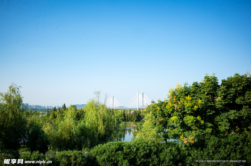 清新自然风景