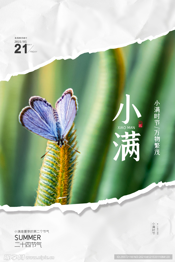 清新二十四节气小满节日海报