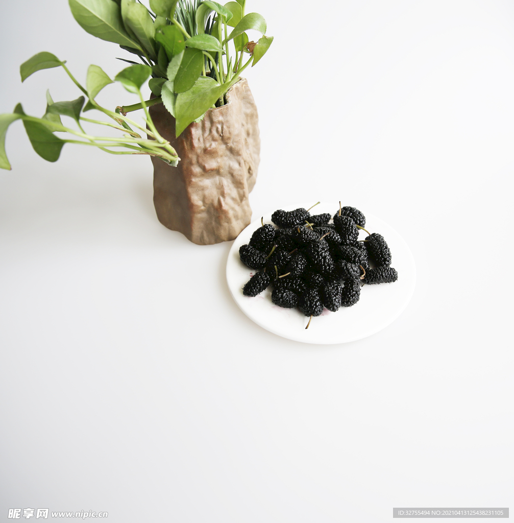桑葚
