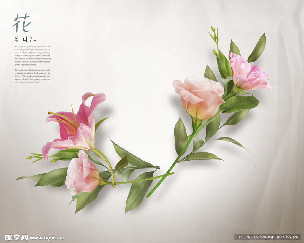 婚纱写真浪漫鲜花主题背景模板