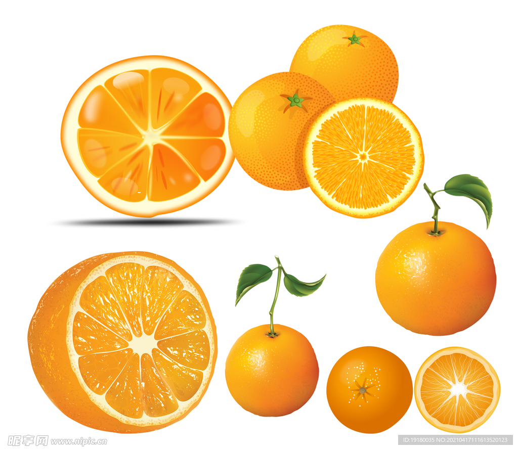 卡通橙素材