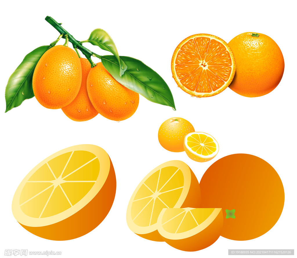 卡通橘子素材