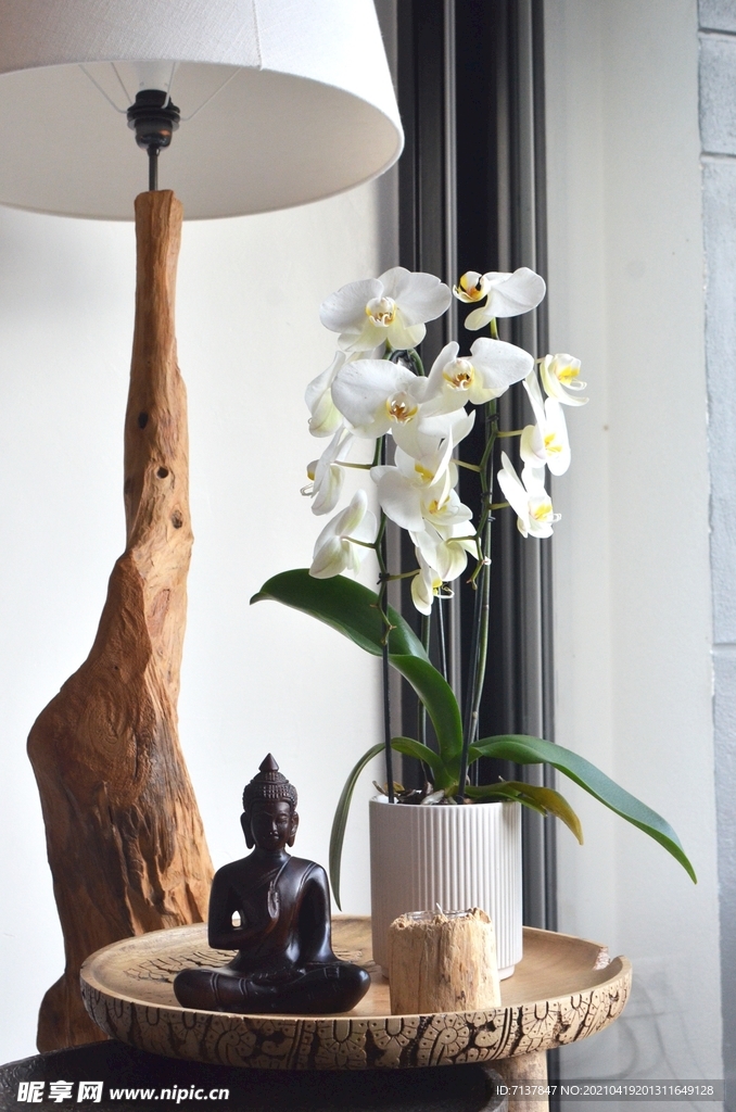 香薰蜡烛蝴蝶兰