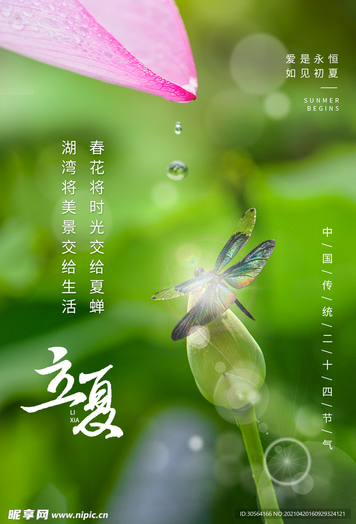 立夏节气传统活动海报素材