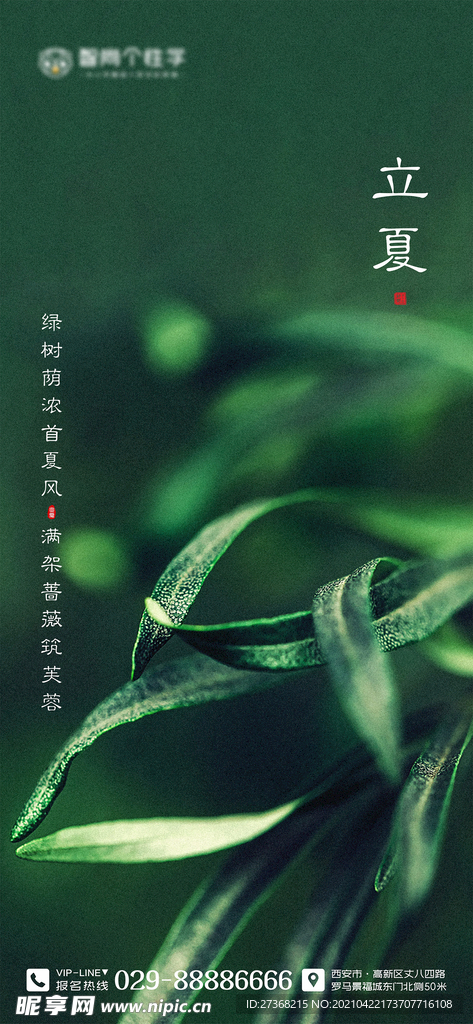 二十四节气海报 立夏海报