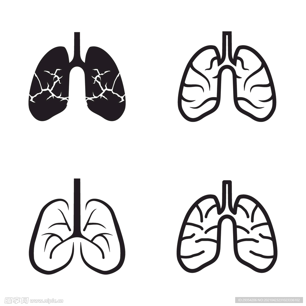 肺图标图片