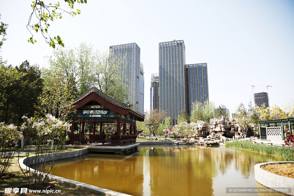 城市公园