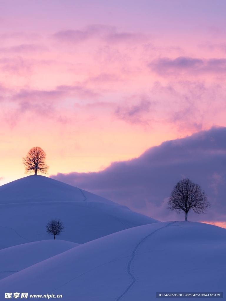 冬天雪景