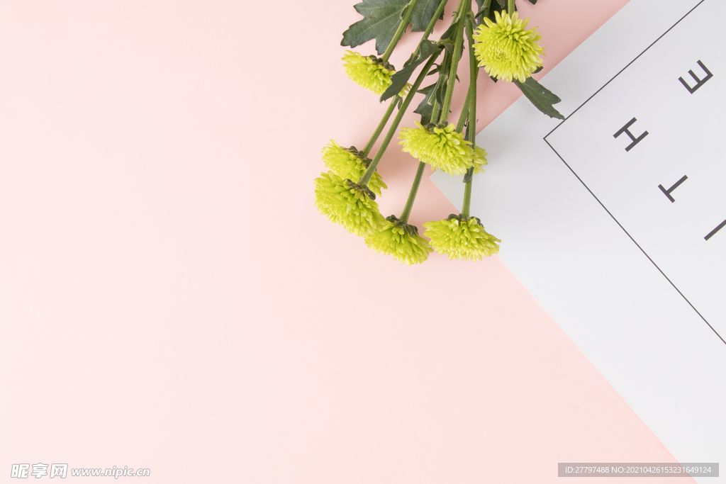 文艺简约平面素材 