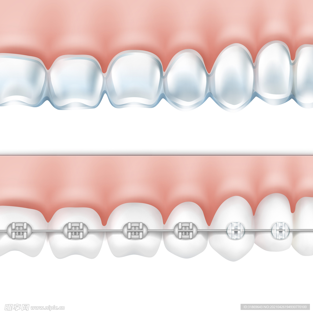 牙齿 口腔 医科       