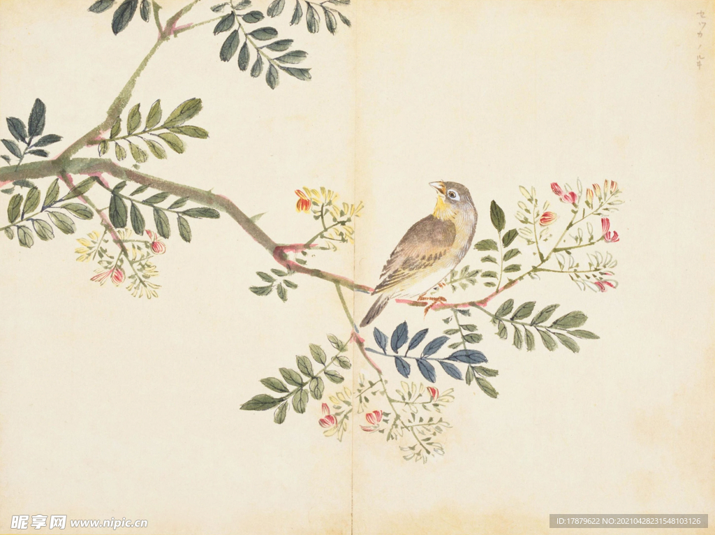 余曾三国画 百花鸟图