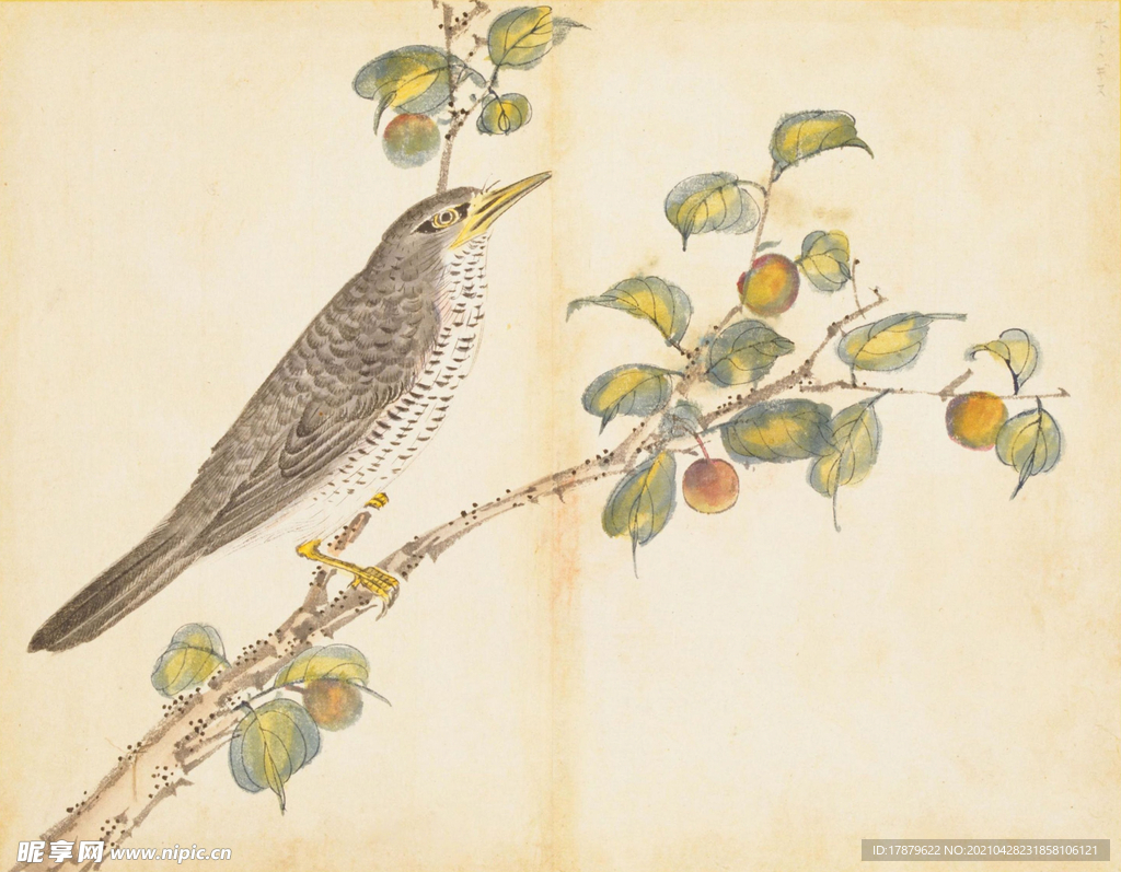 余曾三国画 百花鸟图