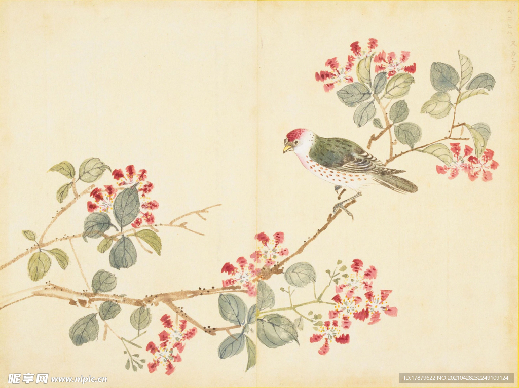 余曾三国画 百花鸟图