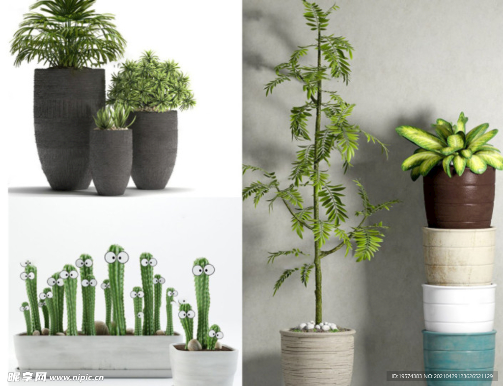  3DMAX北欧绿植花卉盆栽