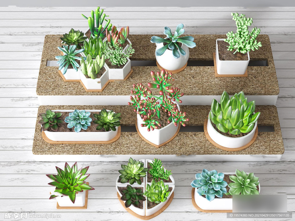  3DMAX现代多肉绿植盆栽