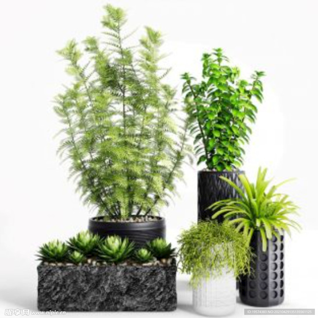  3DMAX多肉绿植盆栽组合