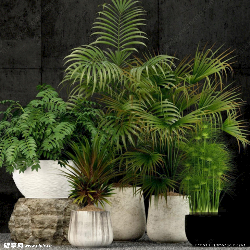  3DMAX现代绿植盆栽