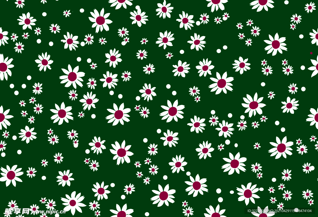 小菊花