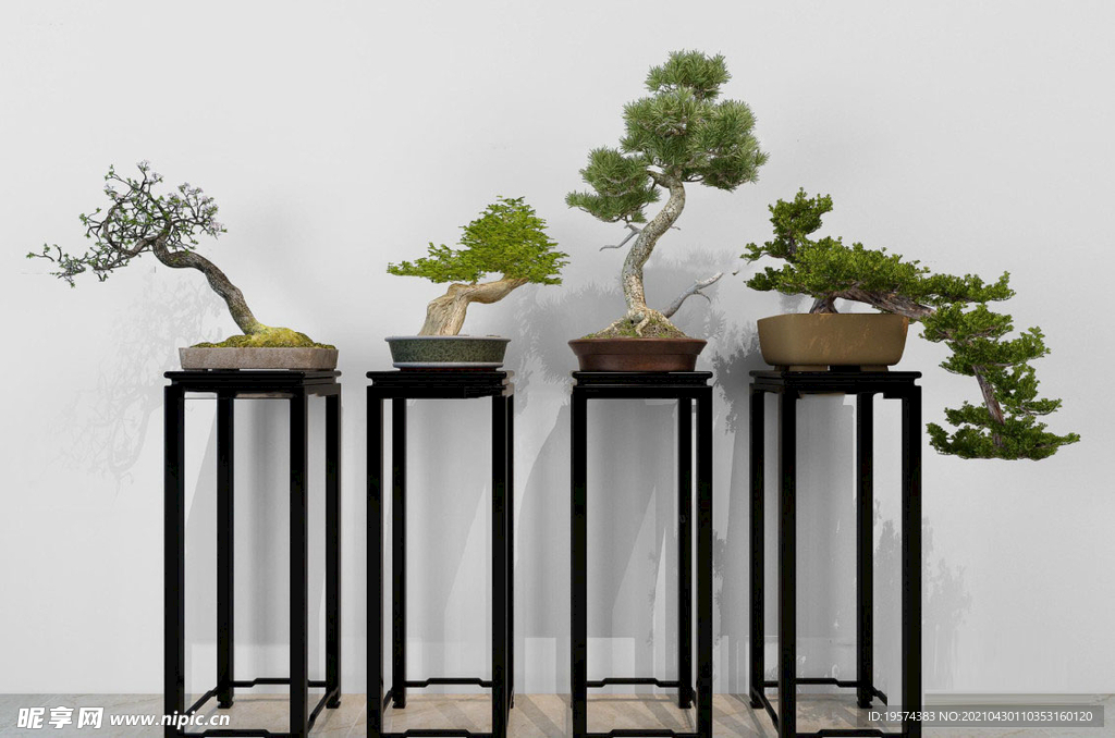  3DMAX中式花架松树盆景