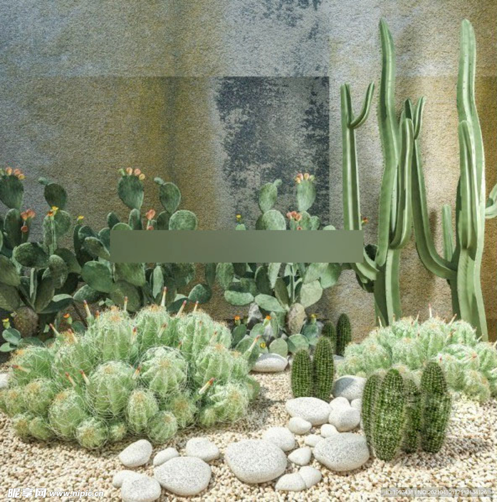  3DMAX庭院沙漠植物