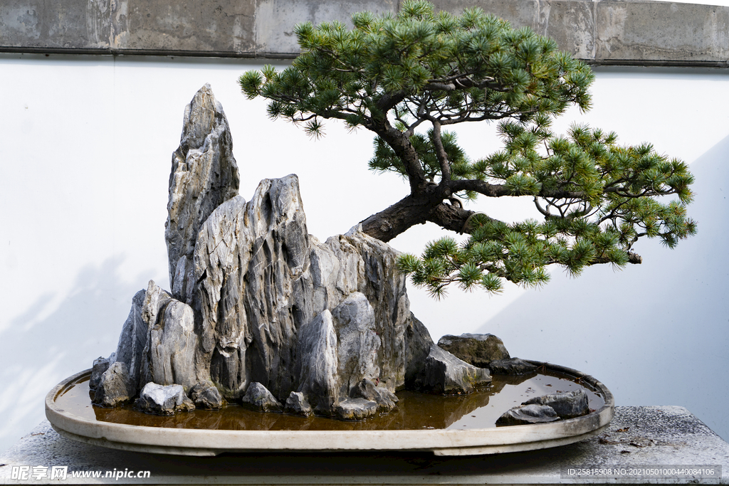 假山 