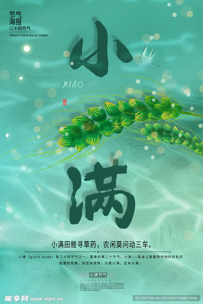 简洁清新水纹小满节日海报
