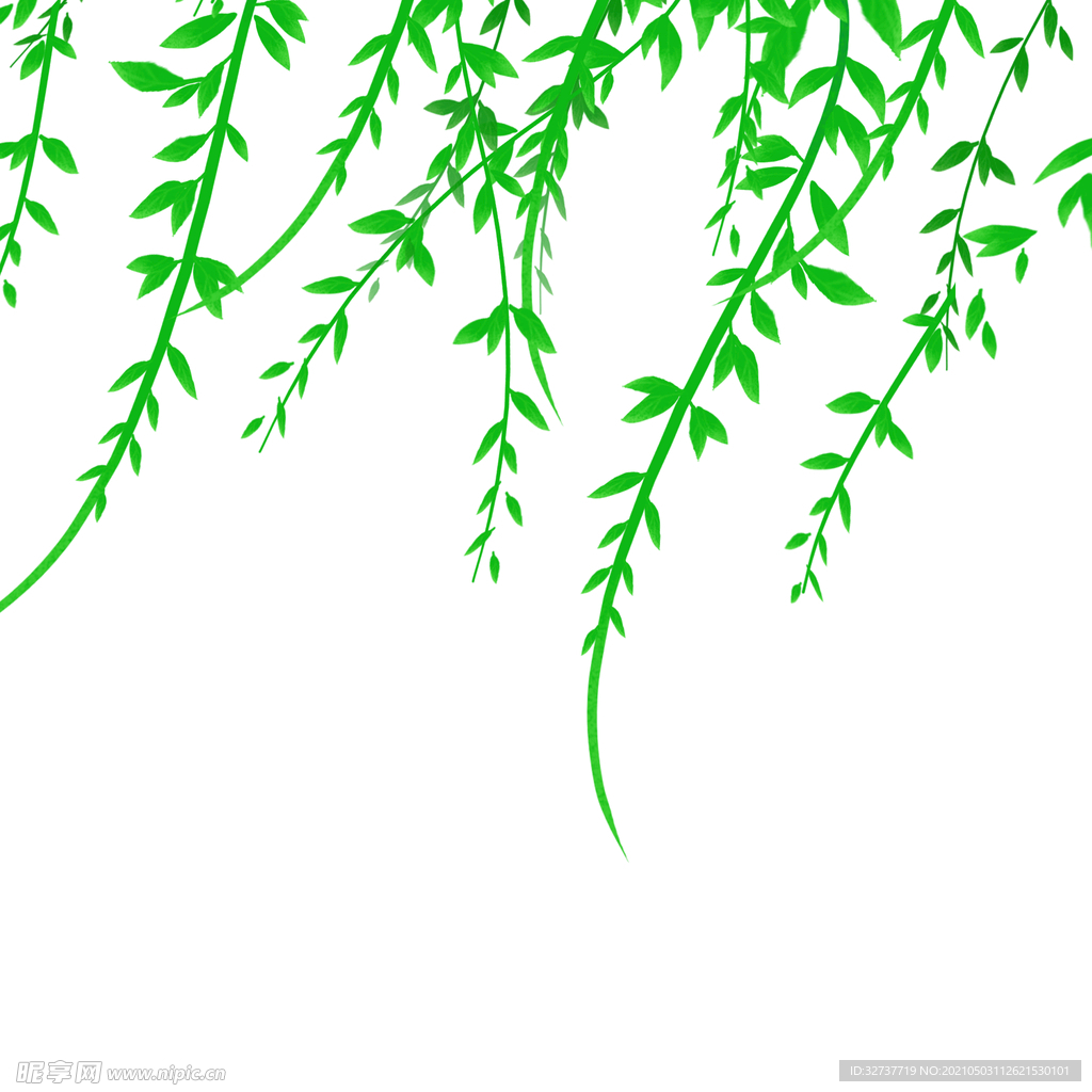 夏天插画树叶元素