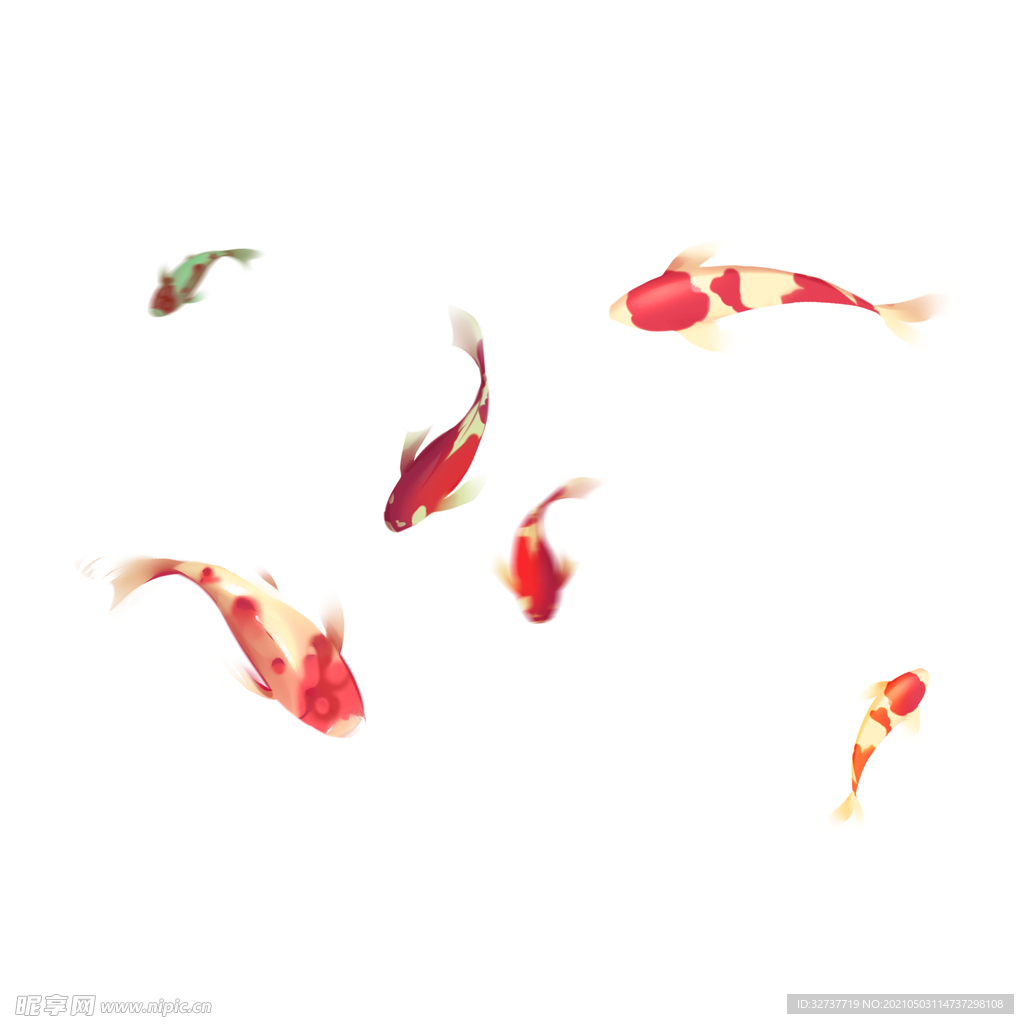 夏季插画金鱼元素