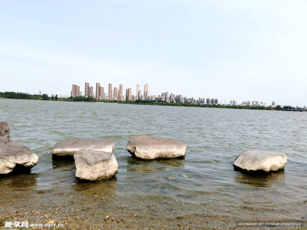 龙子湖