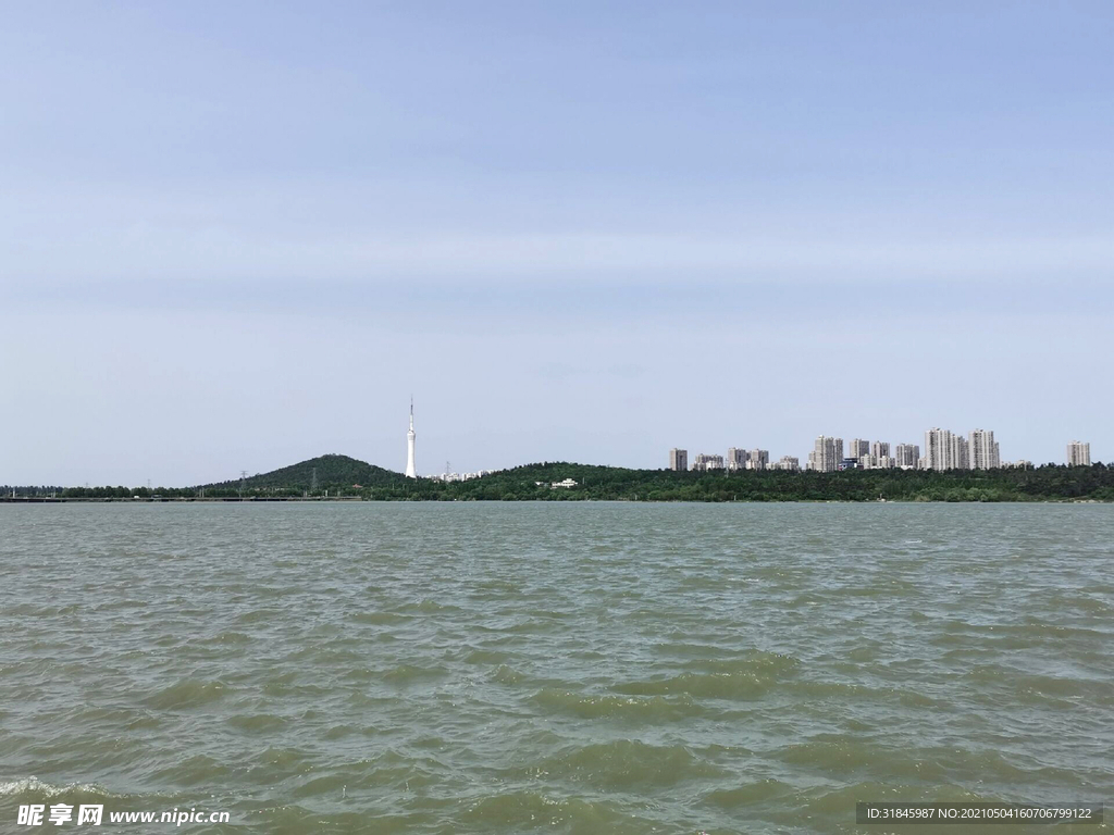龙子湖