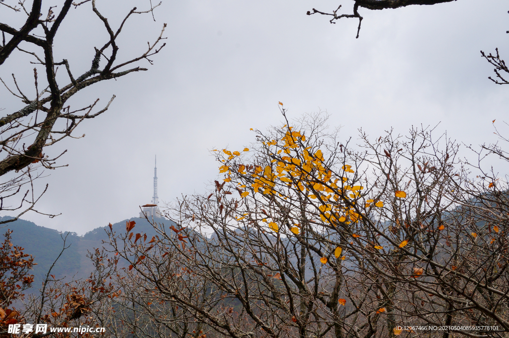 安徽黄山