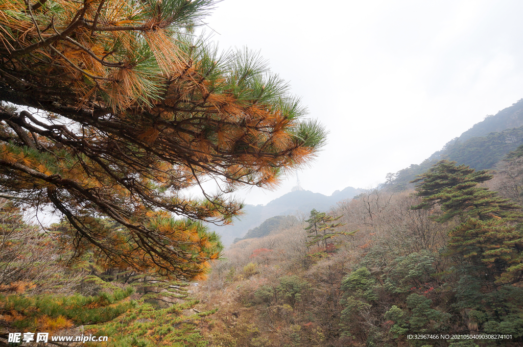 安徽黄山
