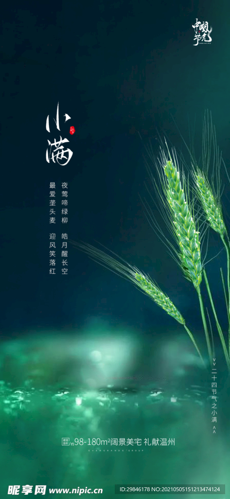 节气日海报